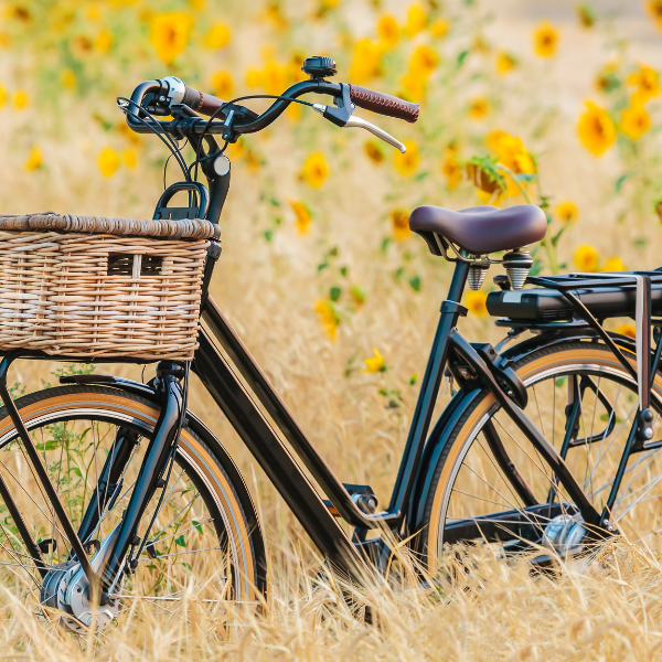 The Eco-Friendly Commute: Transforming Urban Mobility with E-Bikes