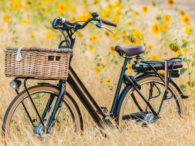 The Eco-Friendly Commute: Transforming Urban Mobility with E-Bikes