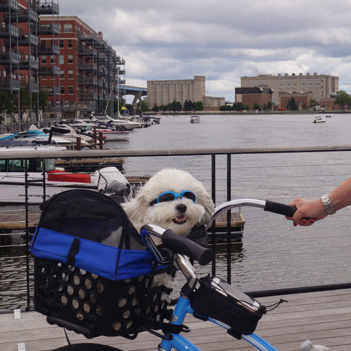 BIKASE Pet Basket