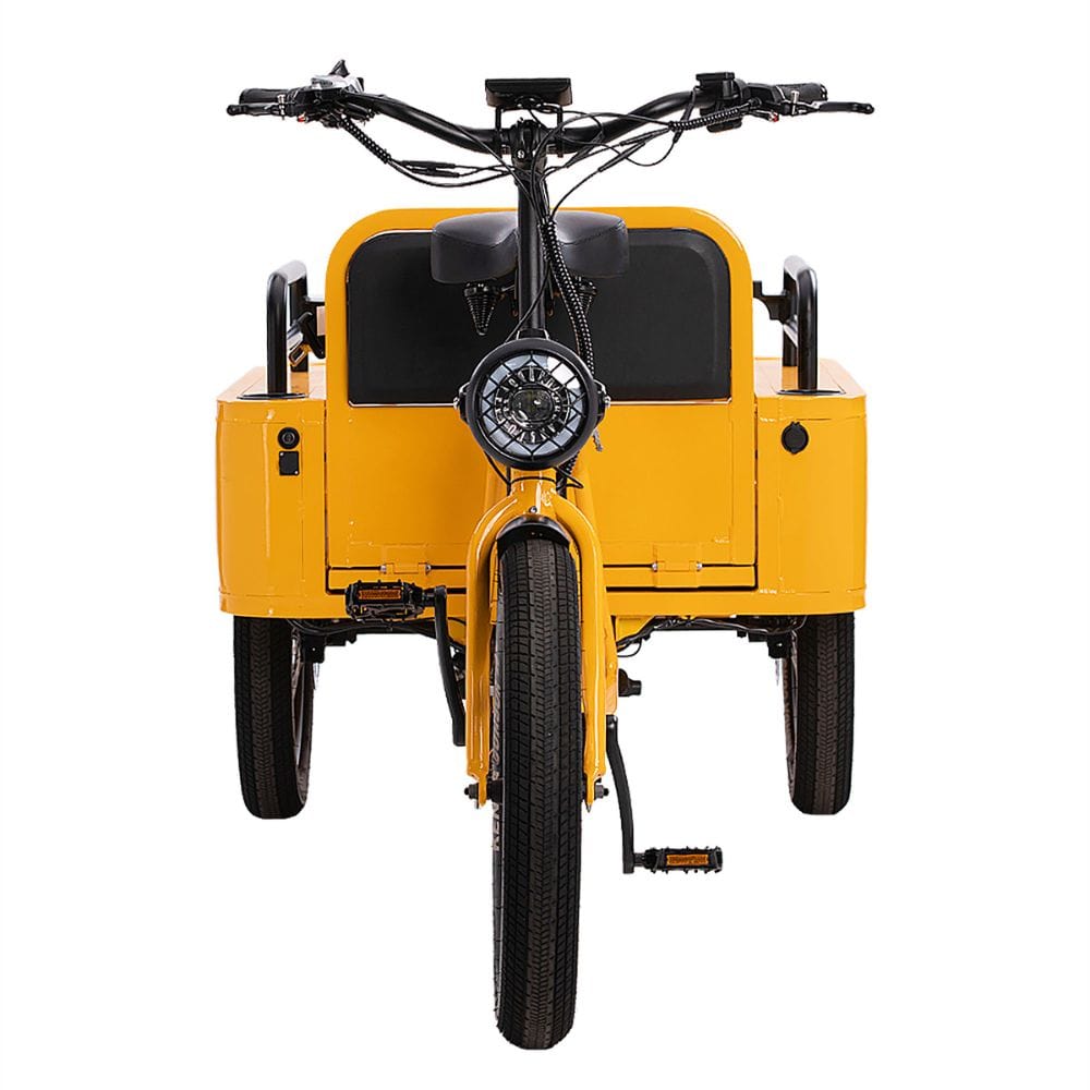 Conductor Plus Rickshaw