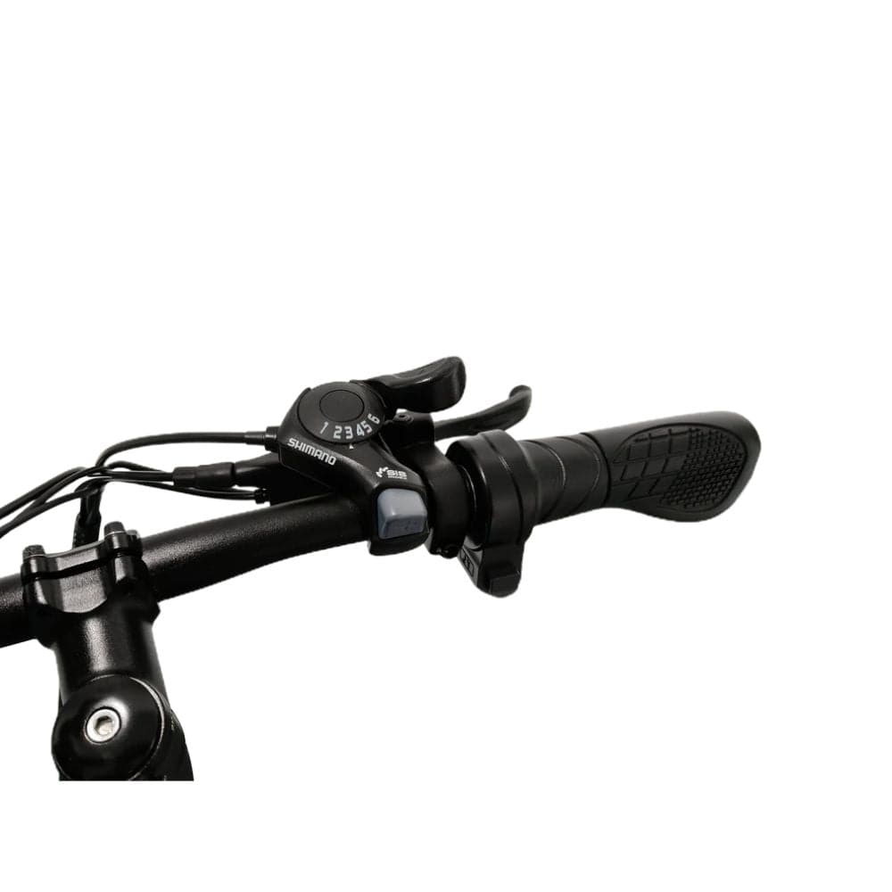 Blaupunkt Henri 350W Folding E-Bike