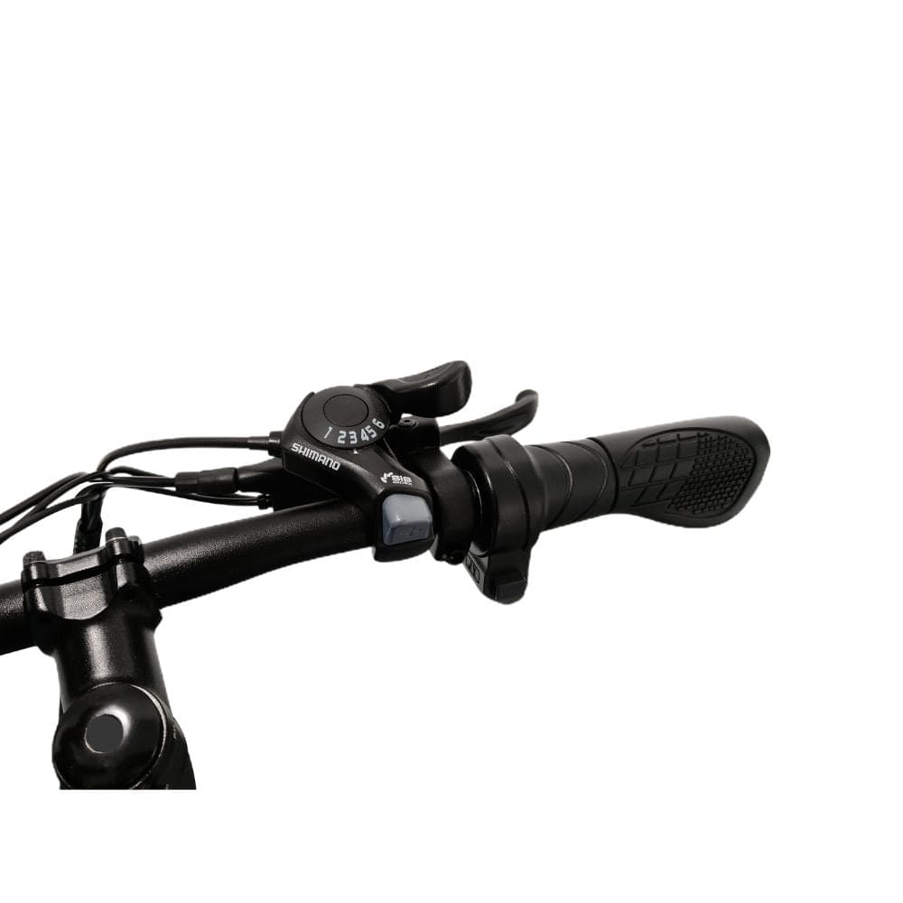 Blaupunkt Fiene 350W Folding E-Bike