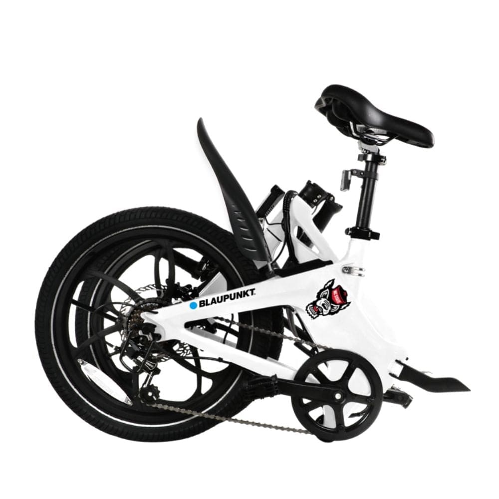 North Carolina State University Folding E-Bike