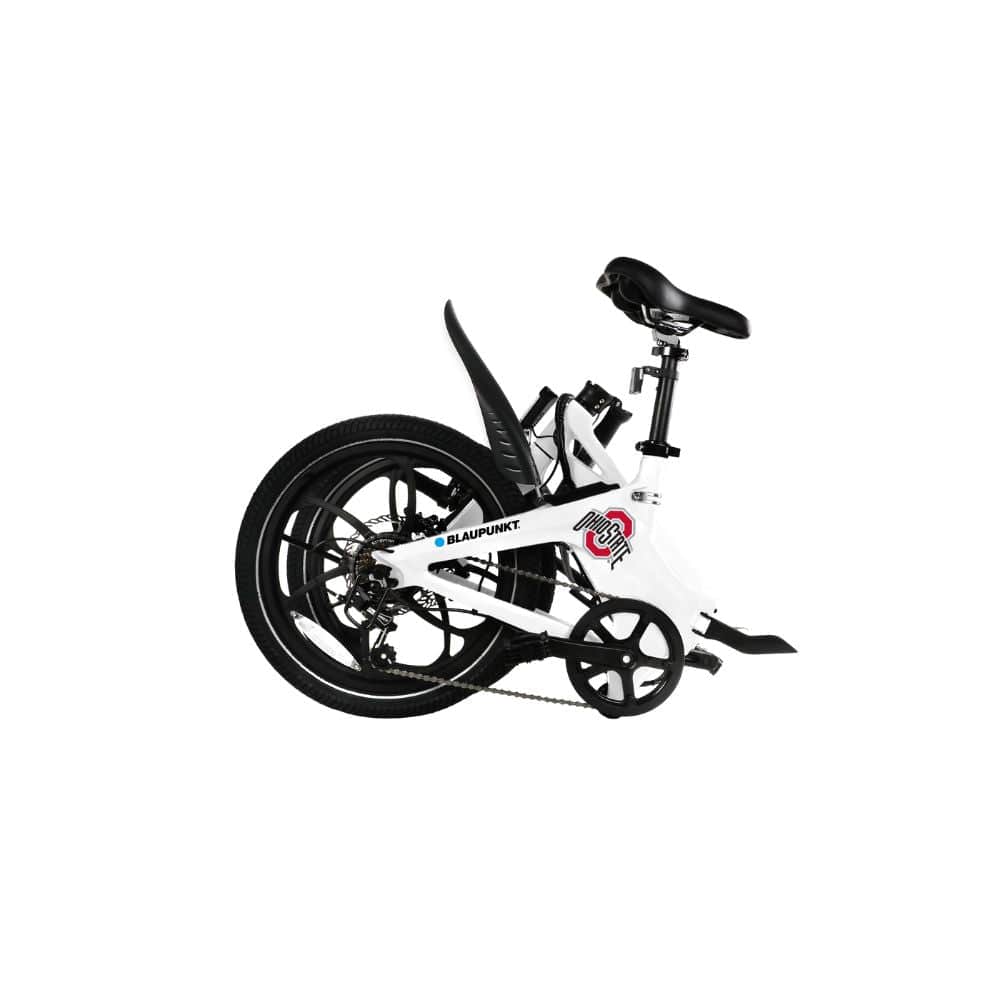 Powerful Engine!  Our Blaupunkt 36V 350W rear wheel hub motor offers impressive speed control with 50 Nm torque. 