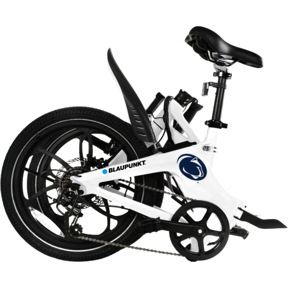 Powerful Engine!  Our Blaupunkt 36V 350W rear wheel hub motor offers impressive speed control with 50 Nm torque. 