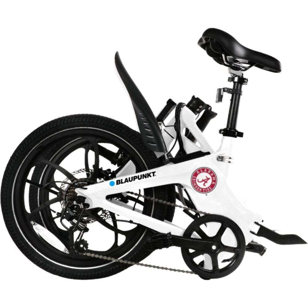 Powerful Engine!  Our Blaupunkt 36V 350W rear wheel hub motor offers impressive speed control with 50 Nm torque. 