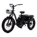 Black Aluminum Trike