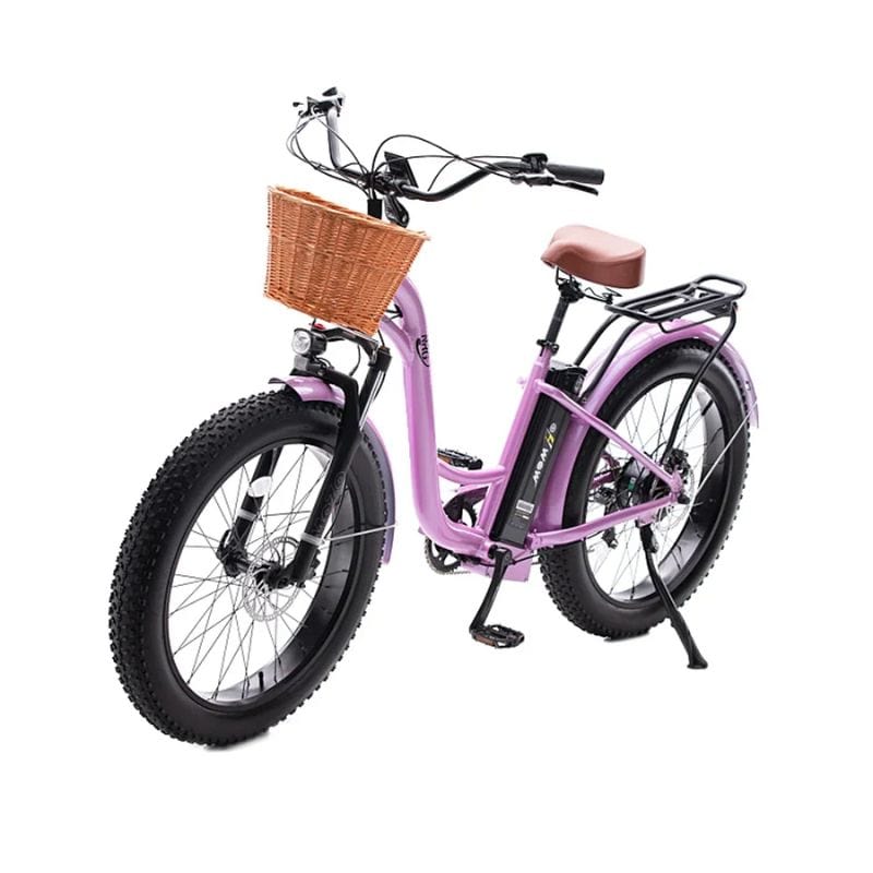 NRG Electric Bike