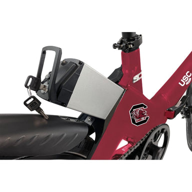 Powered by the impressive Blaupunkt 36V 350W rear wheel hub motor, delivering an astonishing 50 Nm of torque while requiring minimal maintenance.