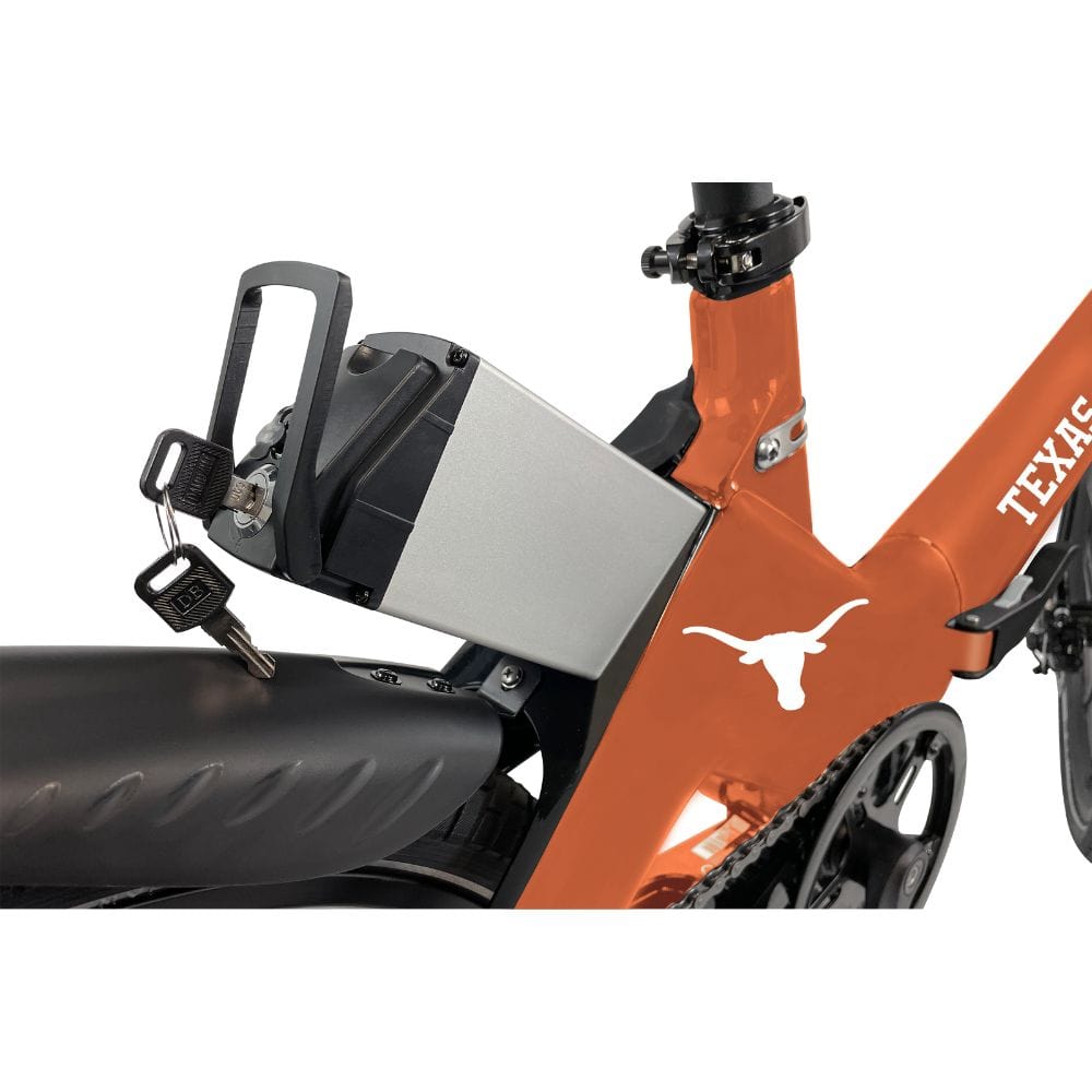 Powered by the impressive Blaupunkt 36V 350W rear wheel hub motor, delivering an astonishing 50 Nm of torque while requiring minimal maintenance.