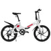 University of Wisconsin Folding E-Bike